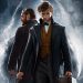 SAIU! Assista ao primeiro trailer de Animais Fantásticos: Os Crimes de Grindewald