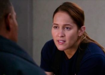 Grey’s Anatomy (14X13 – You Really Got a Hold On Me)