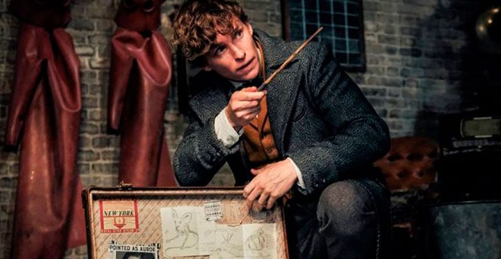 Newt Scamander estampa nova imagem de Animais Fantásticos: Os Crimes de Grindewald