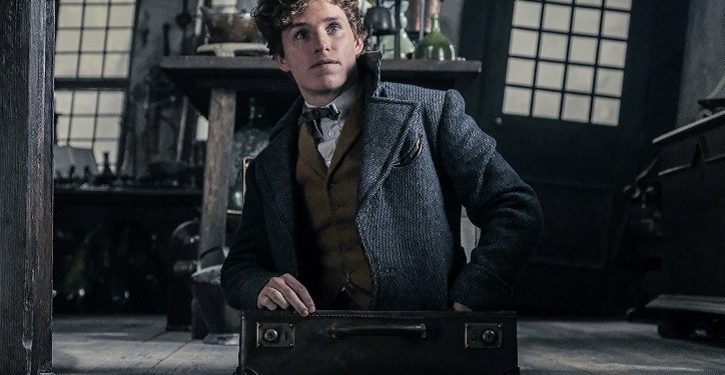Crítica: Animais Fantásticos: Os Crimes de Grindewald