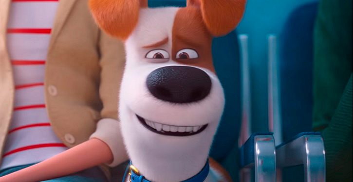 Confira o trailer e pôster de Pets – A Vida Secreta dos Bichos 2