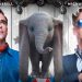 Veja os novos pôsteres da live-action Dumbo