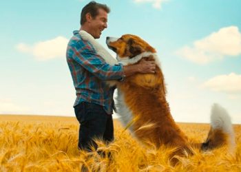 Juntos Para Sempre: sequência de Quatro Vidas de um Cachorro ganha trailer