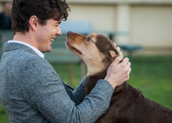 Crítica: A Caminho de Casa