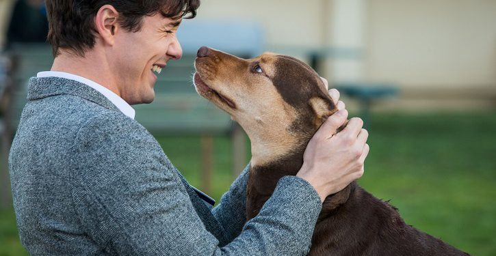 Crítica: A Caminho de Casa