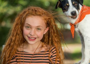 Confira o trailer e pôster de A Pequena Travessa