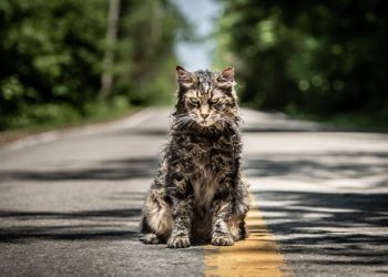 Cemitério Maldito: gato reaparece misteriosamente em cena inédita