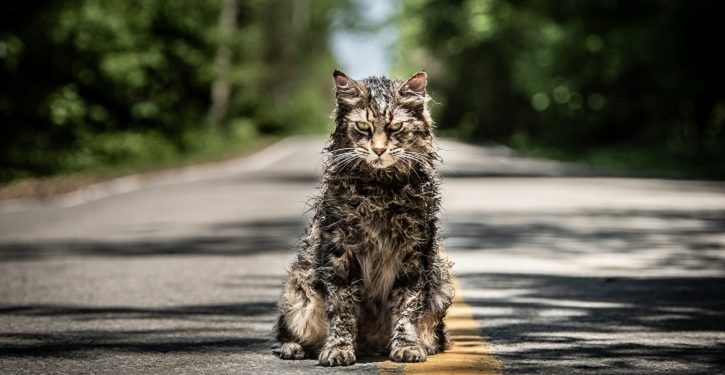 Cemitério Maldito: gato reaparece misteriosamente em cena inédita