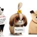 Pets – A Vida Secreta dos Bichos 2 ganha cartazes adoráveis
