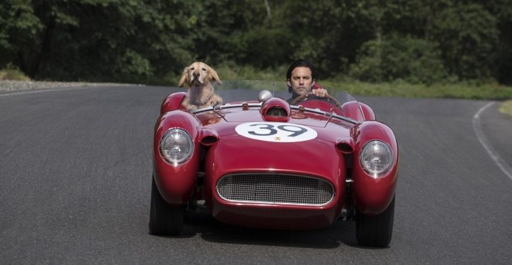 Confira o trailer e pôster de Meu Amigo Enzo, com Milo Ventimiglia e Amanda Seyfried