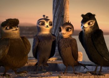 Gaivotas desafiam os limites de andorinha no trailer de Voando Alto