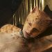 Assista ao trailer de Cats, com Taylor Swift, Idris Elba, Jennifer Hudson e grande elenco