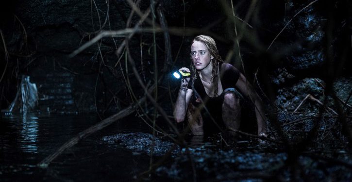 Predadores Assassinos: vídeo mostra tensão em cidade invadida por jacarés