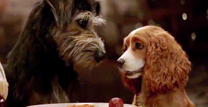 foto de a dama e o vagabundo