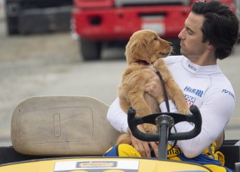 foto do filme meu amigo enzo