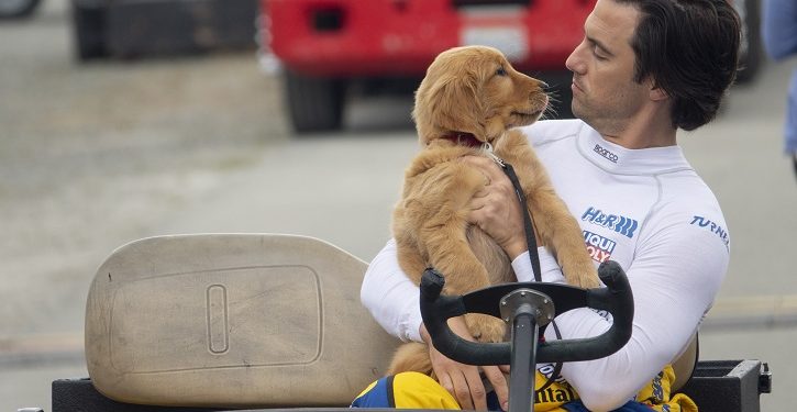 foto do filme meu amigo enzo