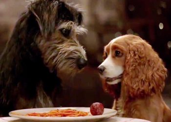 foto do filme a dama e o vagabundo