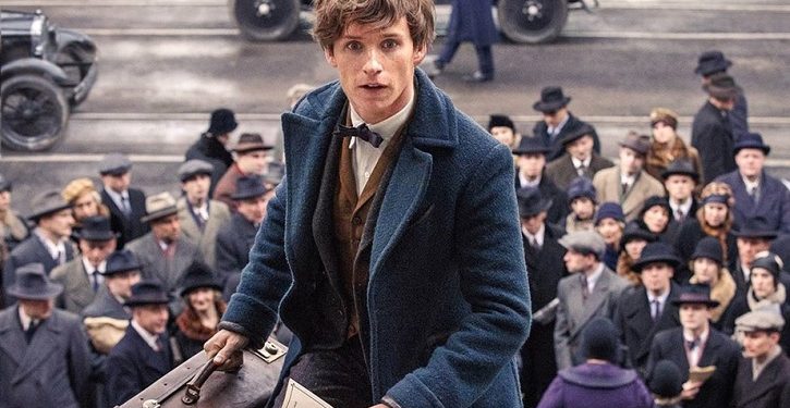 foto do filme animais fantasticos 3