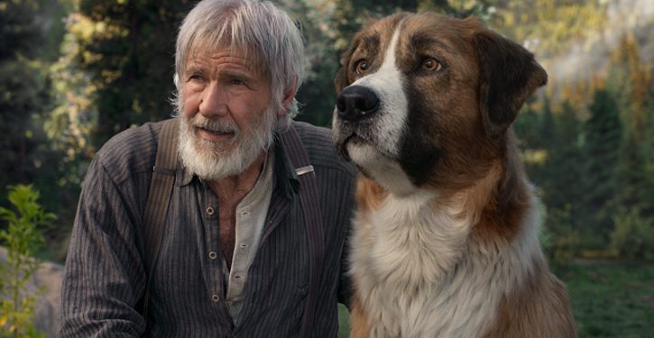 foto do filme o chamado da floresta