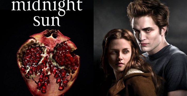 foto do livro midnight sun