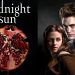 foto do livro midnight sun