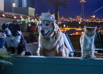 foto do filme como caes e gatos 3