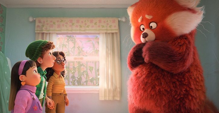 foto do filme Red - Crescer é Uma Fera