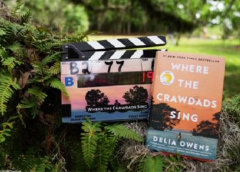 foto do filme Um Lugar Bem Longe Daqui