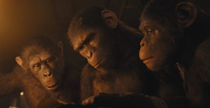 foto do filme Planeta dos Macacos: O Reinado