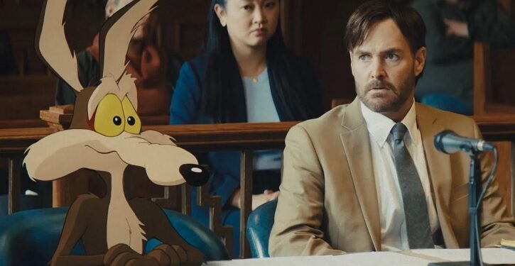 foto do filme Coyote vs Acme
