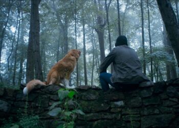 foto do filme Bom Menino